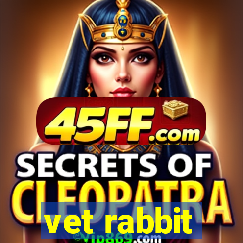 vet rabbit